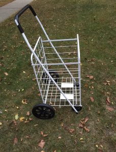 This is the cart I brought to the used book sale.